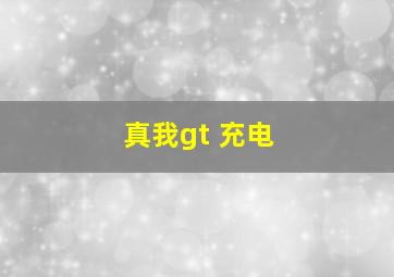 真我gt 充电